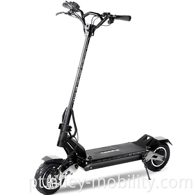 long range electric scooter